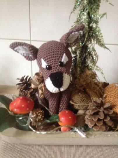 Lukas und Luci zwei Rehe im Wald