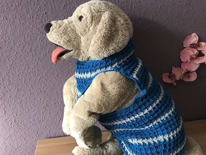 Häkelanleitung für Hundepullover