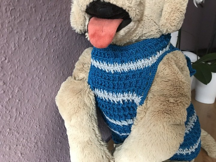 Häkelanleitung für Hundepullover