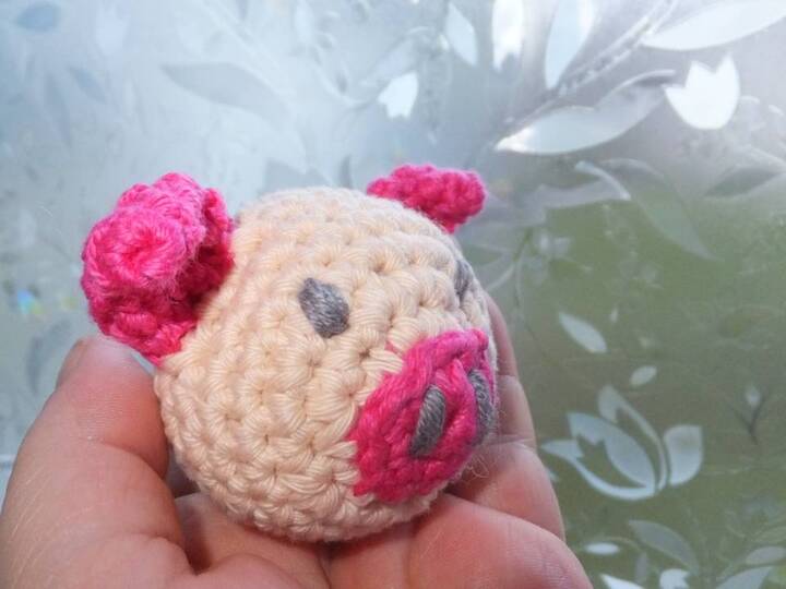 Schwein muss man haben .... Häkelanleitung