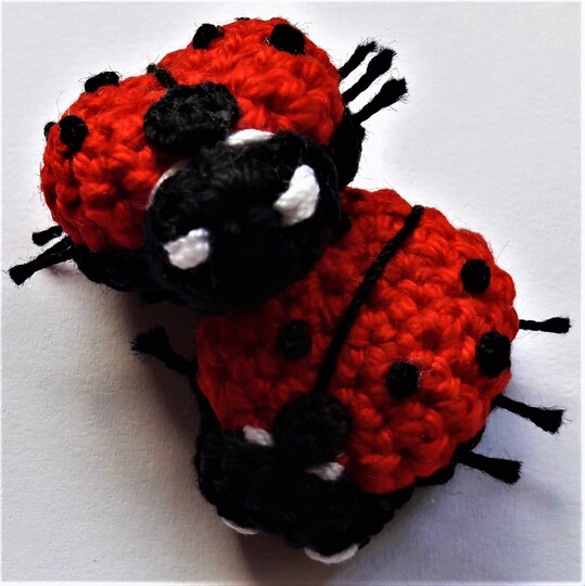Glücksbringer "Marienkäfer"