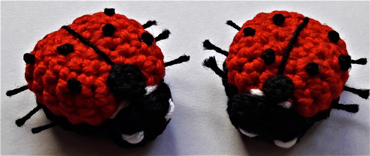 Glücksbringer "Marienkäfer"