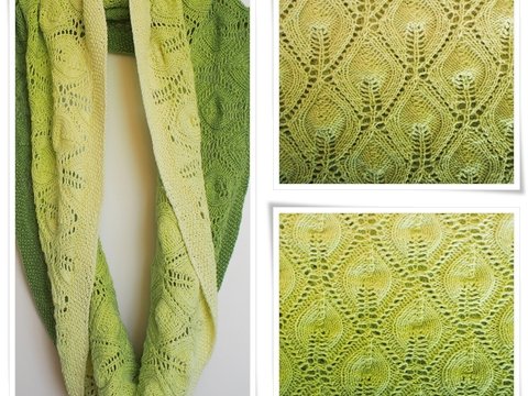 Light of the Universe Loop