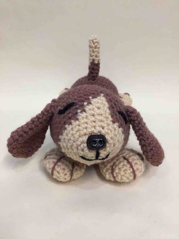 Oskar der Beagle - Bild 3