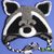 Raccoon Animalhat Crochet Pattern in 4 sizes