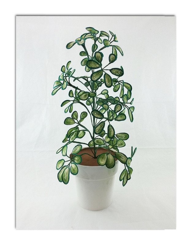 Gehäkelte Zimmerpflanze mit vielen kleinen grünen Blättern in einfachem weißen Topf vor hellem Hintergrund.