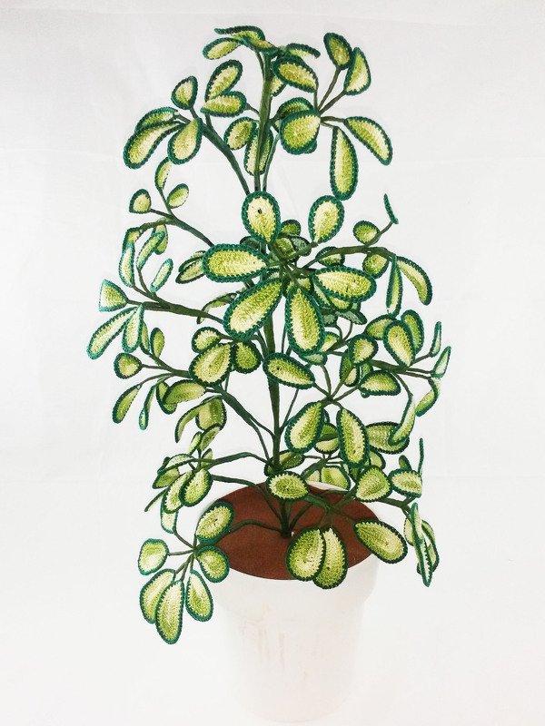 Häkelanleitung- Fingerpalme Schefflera - Bild 2