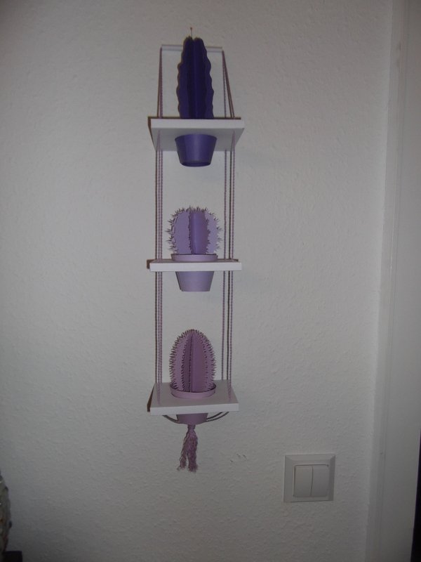 Kakteenregal - Bild 5