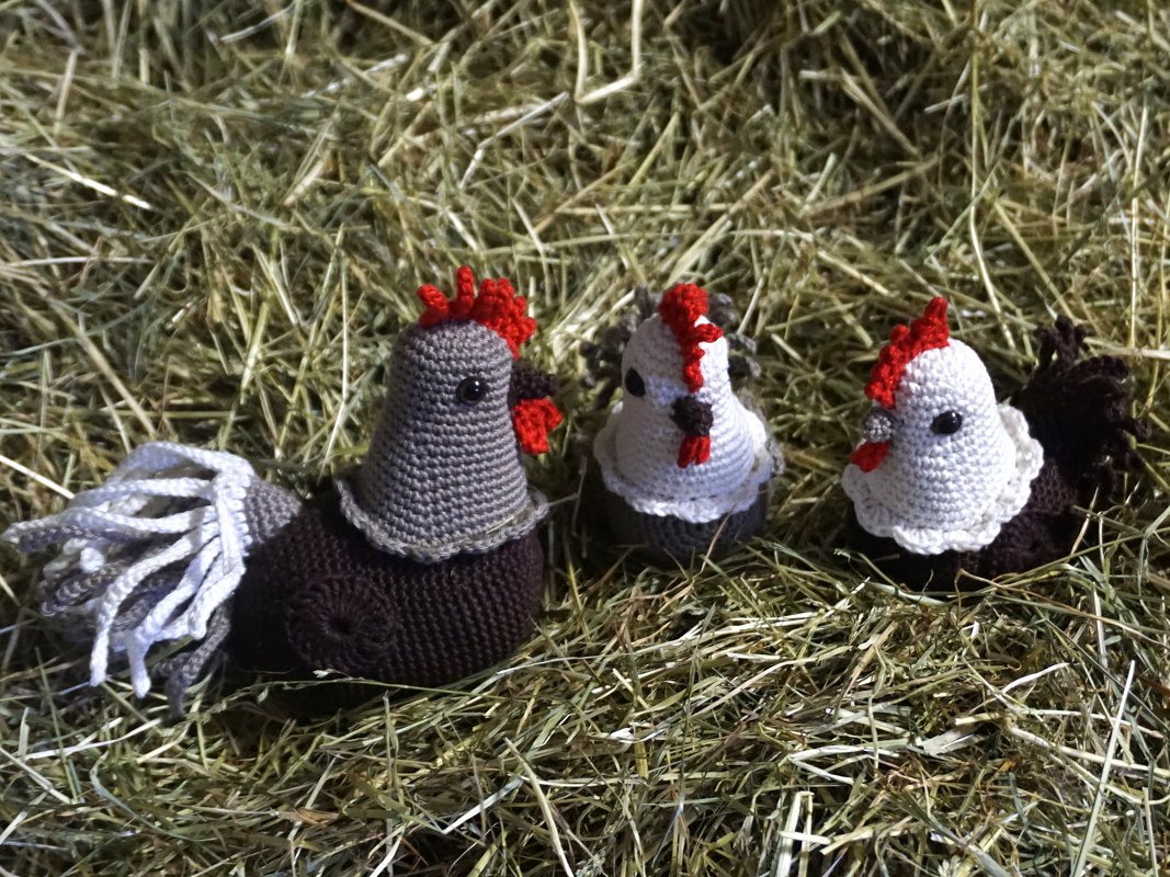 Häkelanleitung Hahn und Hennen - Bild 6