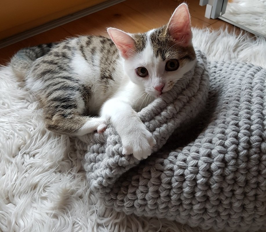 Katzenhöhle Häkelanleitung - Bild 3