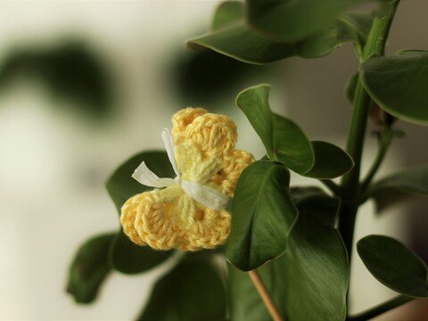 Häkelanleitung Schmetterling