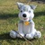 Crochet a Husky – Grace the Husky Lady with Collar and Tag (EN & DE)