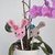 Crochet Pattern Flower Stick Bunny "Paulinchen"