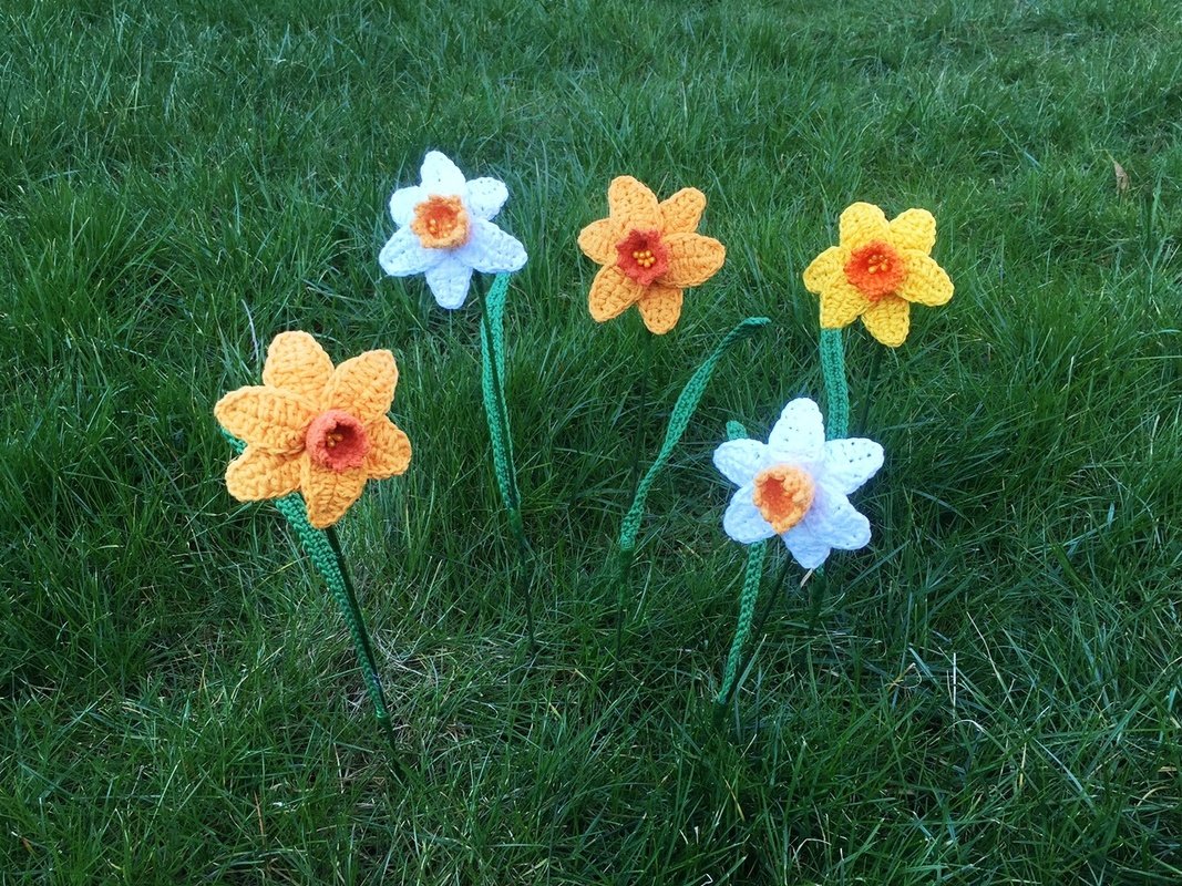 Häkelanleitung Narzisse