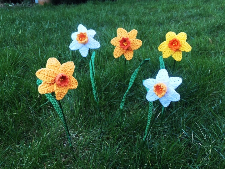 Häkelanleitung Narzisse