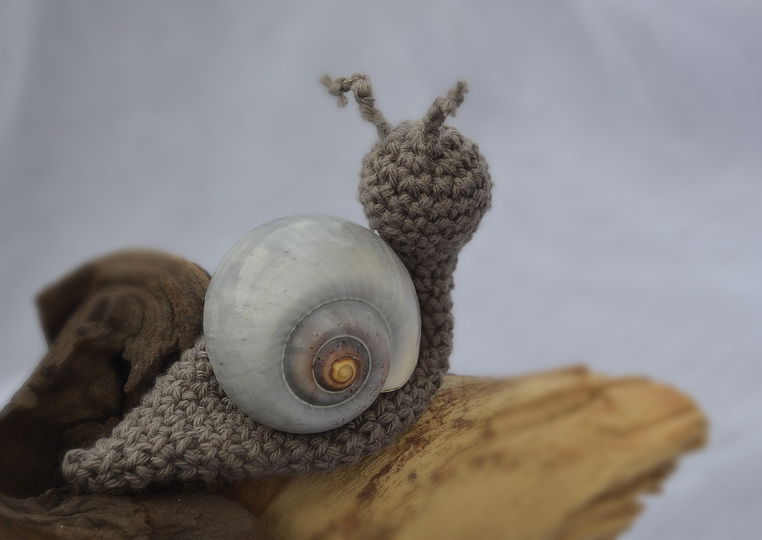 Mini Fliegenpilze u Schnecken 2 Größen Muttertag Glück Pilze Herbst