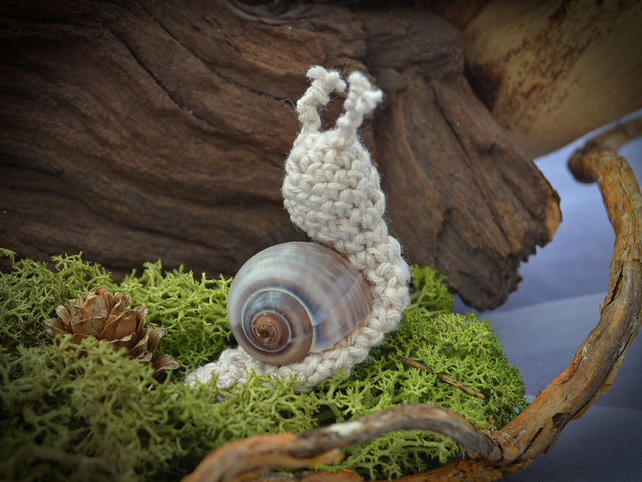 Mini Fliegenpilze u Schnecken 2 Größen Muttertag Glück Pilze Herbst