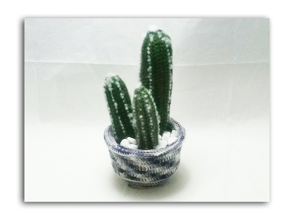 Häkelanleitung - Kaktus Epiphyllum - Bild 2