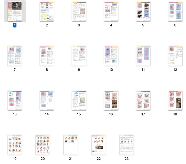 193 Crochet Pattern - Fima the pig - Amigurumi toy PDF file by Pertseva