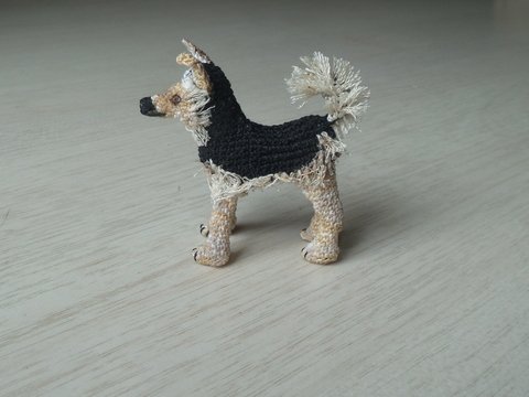 Hund Pepper, der Streuner