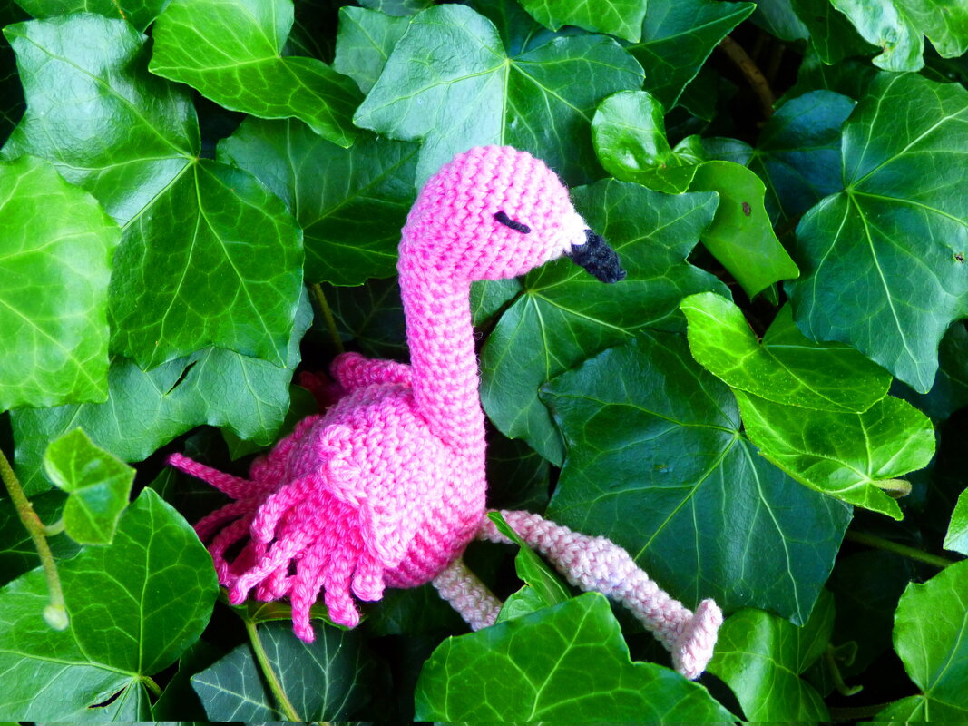 Häkelanleitung Flamingo Fernando