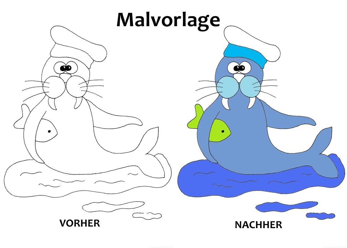 Malvorlage Seelöwe mit Fisch - PDF Datei