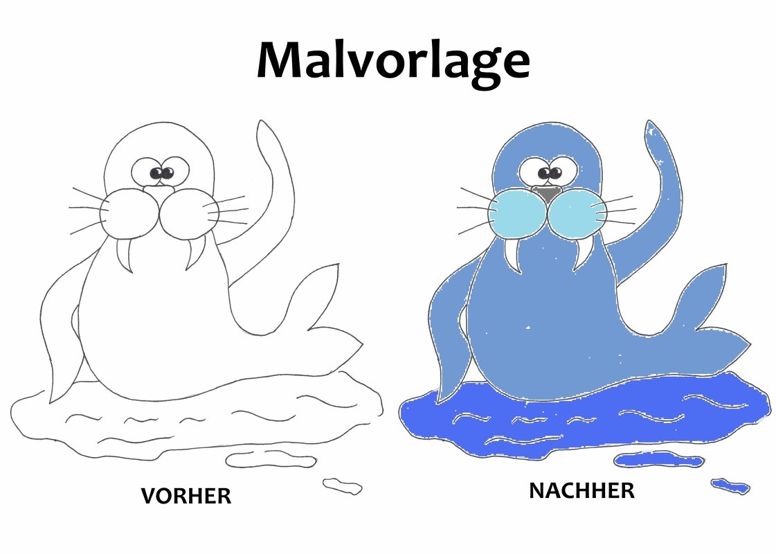 Malvorlage Seelöwe Julian - PDF Datei