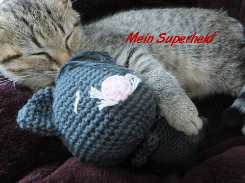 mein Superheld - Katze zum Häkeln