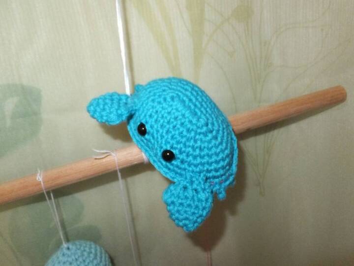 Set: Qualle Seepferdchen Krabbe