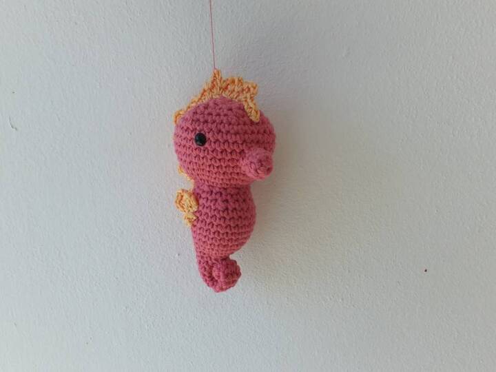 Set: Qualle Seepferdchen Krabbe