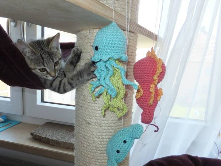 Set: Qualle Seepferdchen Krabbe