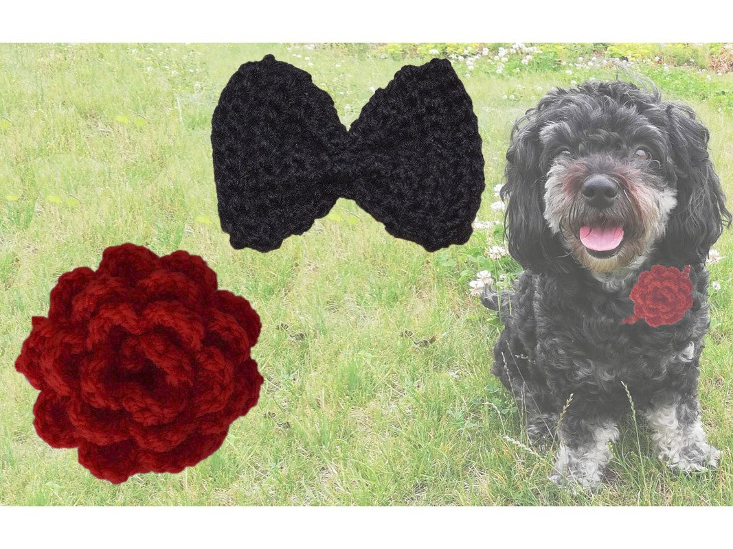 Black dog wearing a red crocheted flower on its collar; separate red crocheted flower and black crocheted bow tie on grass.