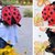 Backpack «Ladybug»