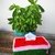 Taschentuchbox Melone