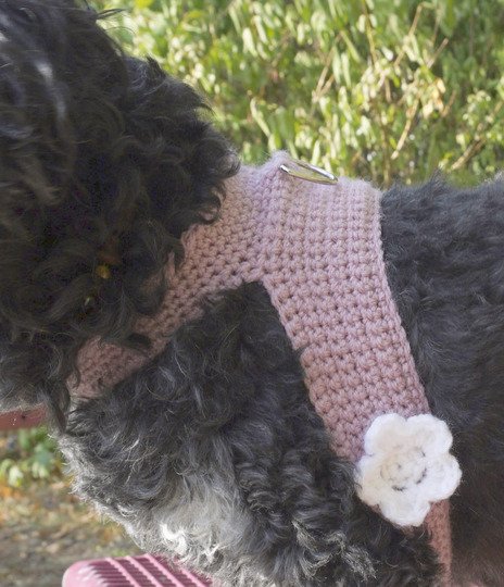 Häkelanleitung Geschirr für kleine Hunde