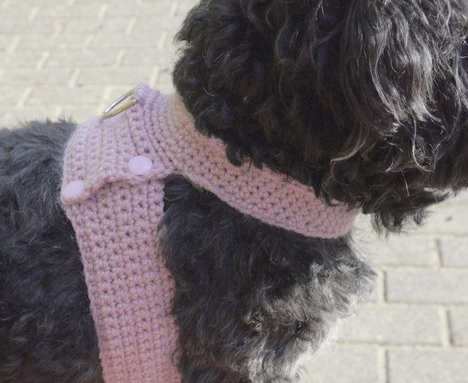 Häkelanleitung Geschirr für kleine Hunde