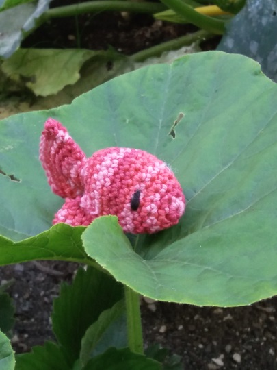 Häkelanleitung Fisch Fridolin