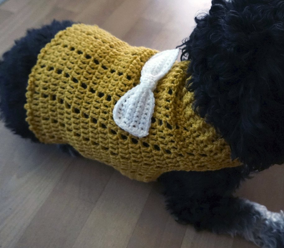 Small black dog wearing a mustard-yellow crocheted sweater with a white bow