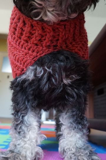 Crochet Pattern for the easy dog coat!