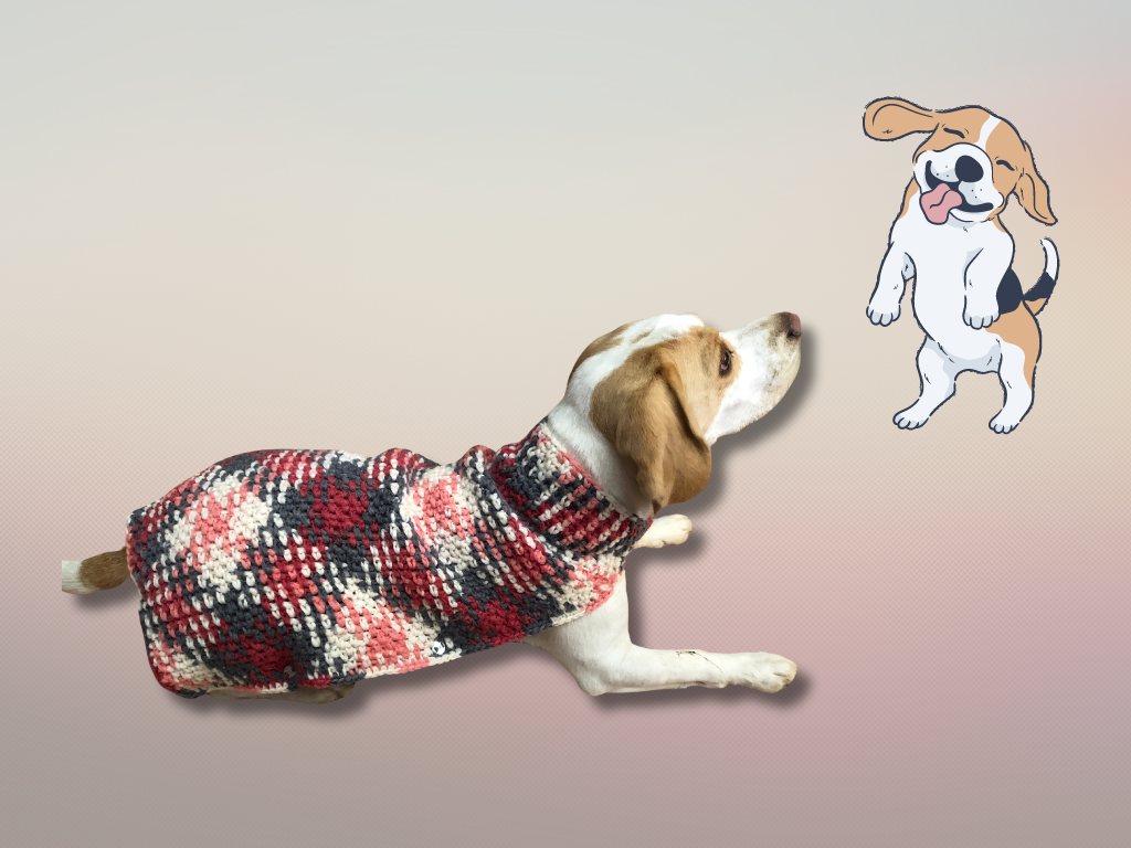 Hkeln fr Hunde: Sitzt wirklich gut | Crazypatterns
