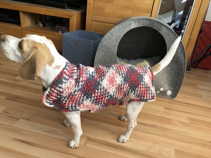 Häkelanleitung Für Hundemantel