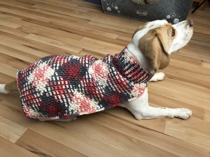 Häkelanleitung Für Hundemantel