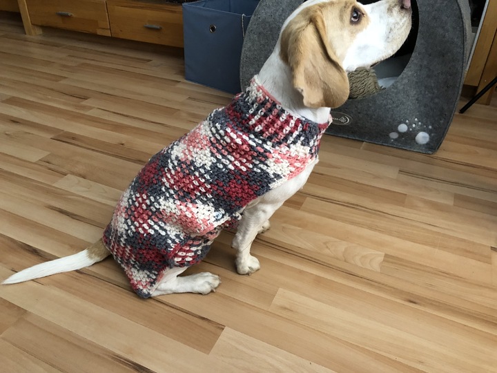 Häkelanleitung Für Hundemantel