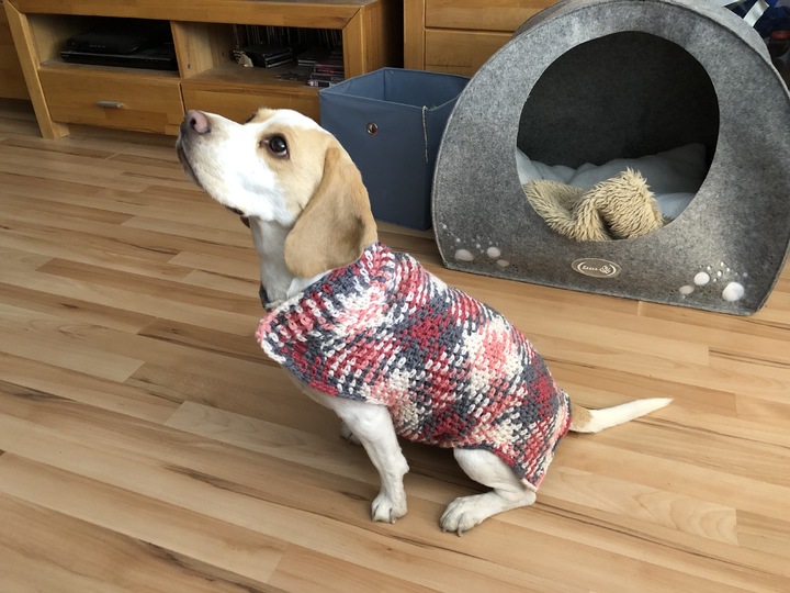 Häkelanleitung Für Hundemantel