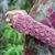 Fingerless Gloves "Kjellrun", 2 sizes