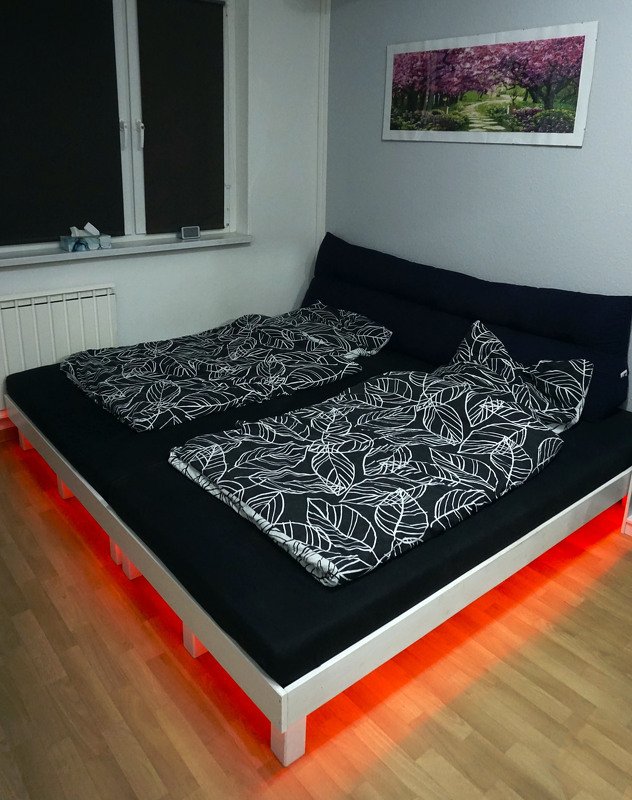 Construction Manual big Family Bed!