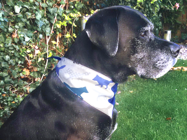 Dandy tie-on add-on reversible dog bandana sewing pattern