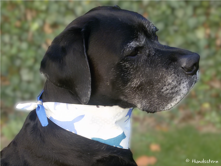 DANDY tie-on: pattern add-on reversible dog bandana sewing pattern