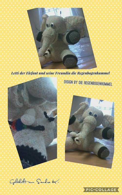 Letti - Der Elefant - Bild 3