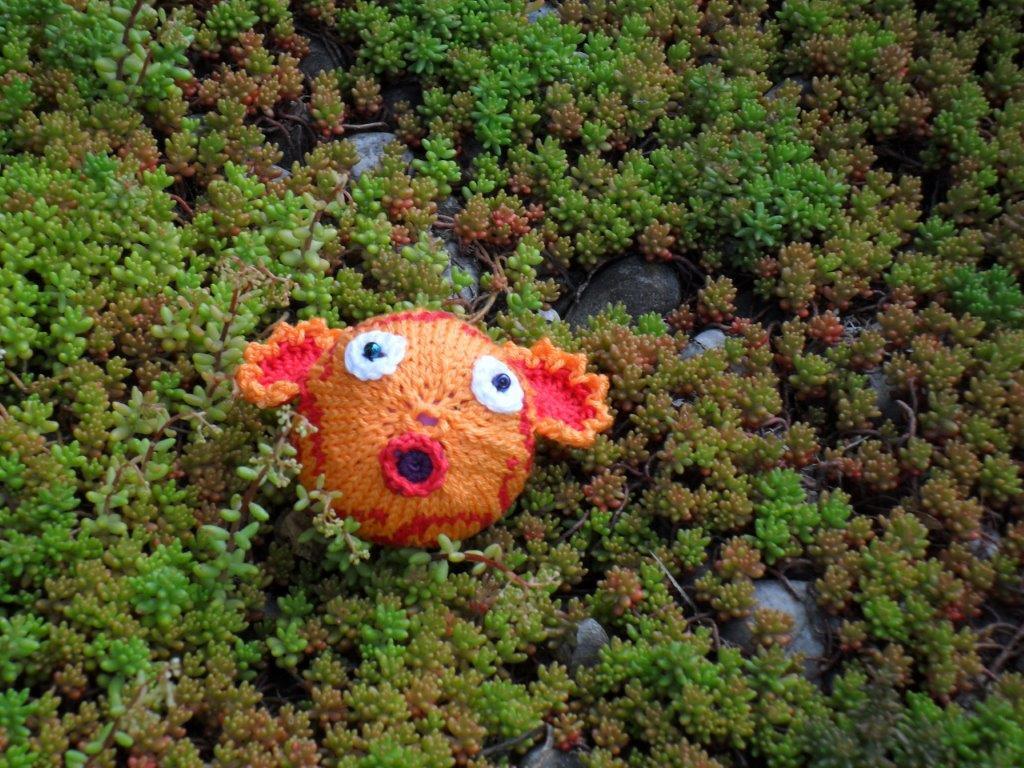 Strickanleitung "Lavendelfische"